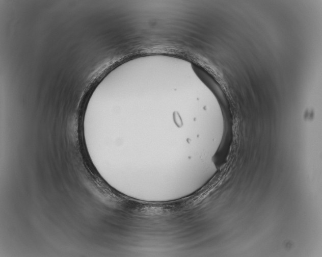 X0000096450298200802211240