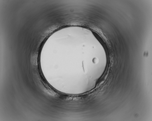 X0000096450299200802211240