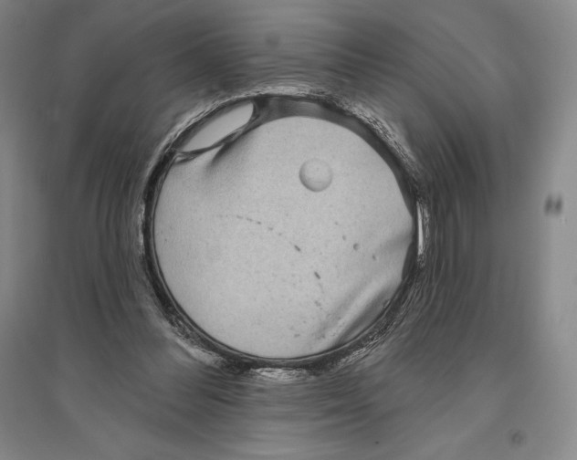 X0000096450300200802211240