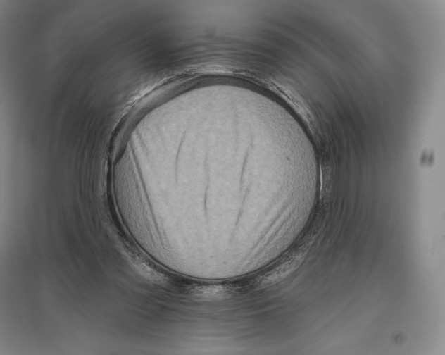 X0000096450301200802211240