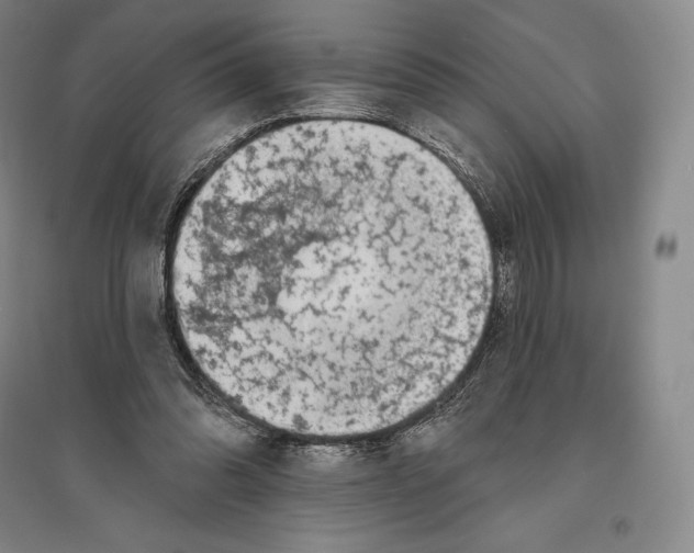 X0000096450302200802211240