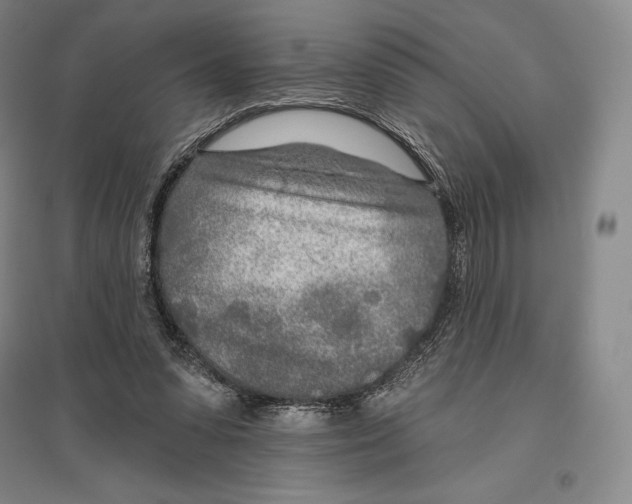 X0000096450303200802211240