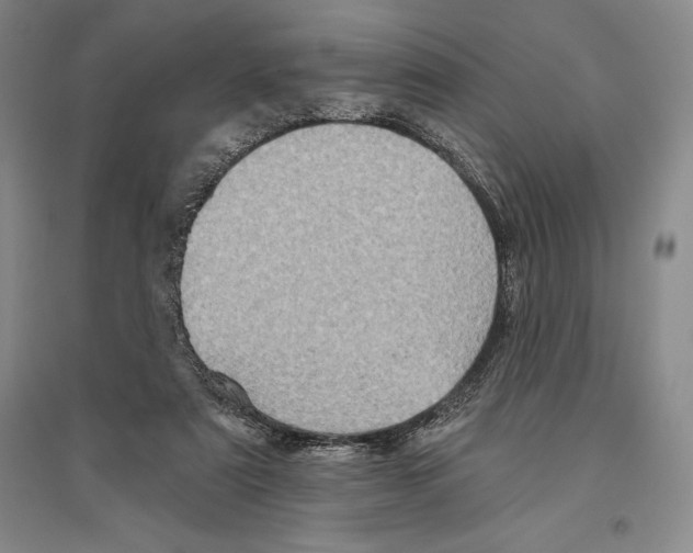 X0000096450307200802211240