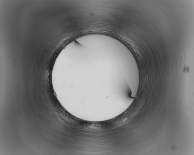 X0000096450308200802211240