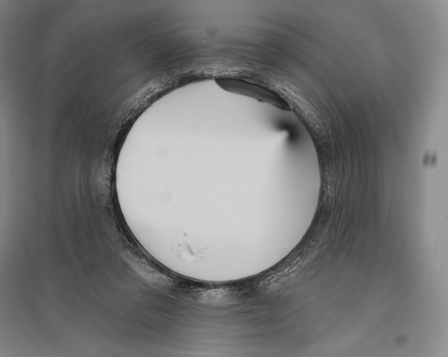 X0000096450309200802211240