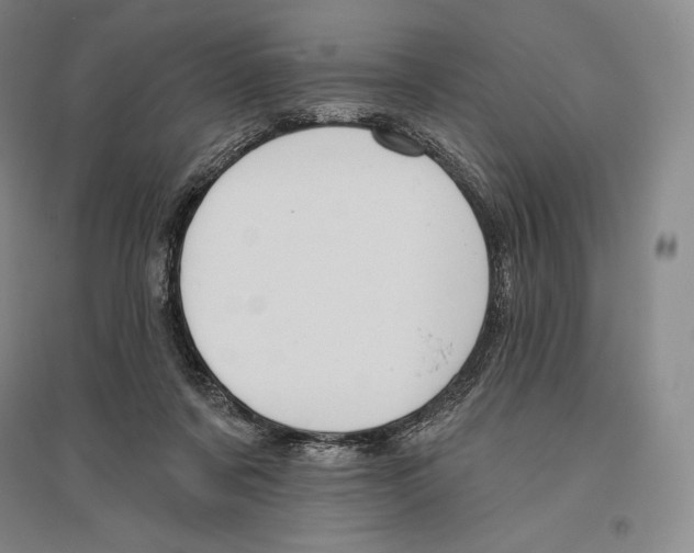 X0000096450311200802211240