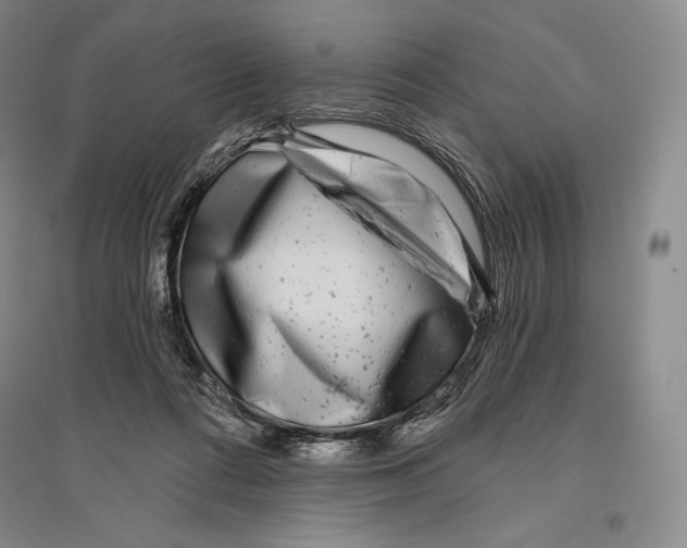 X0000096450312200802211240