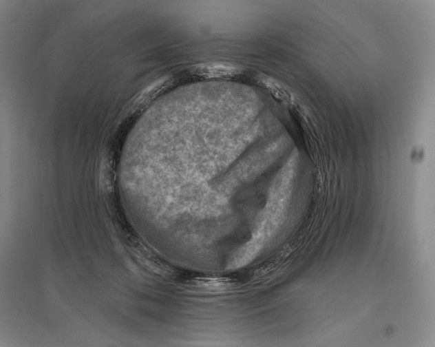 X0000096450316200802211240