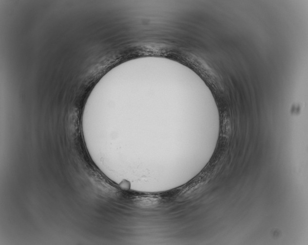 X0000096450318200802211240