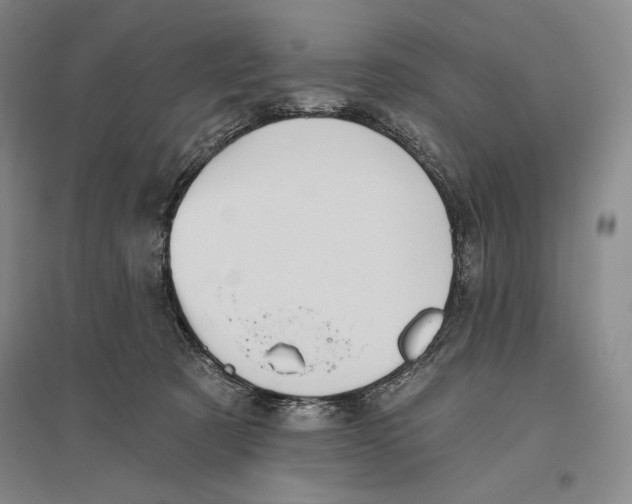 X0000096450321200802211240