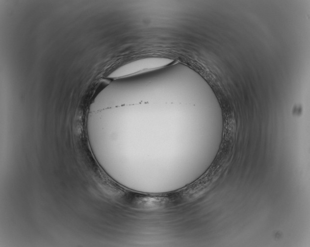 X0000096450323200802211240