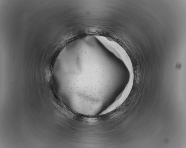 X0000096450324200802211240