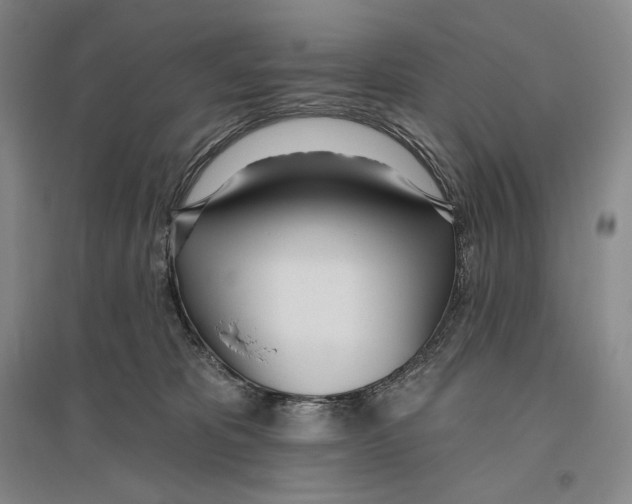 X0000096450325200802211240