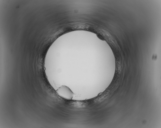 X0000096450326200802211240