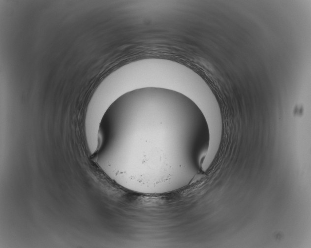 X0000096450327200802211240