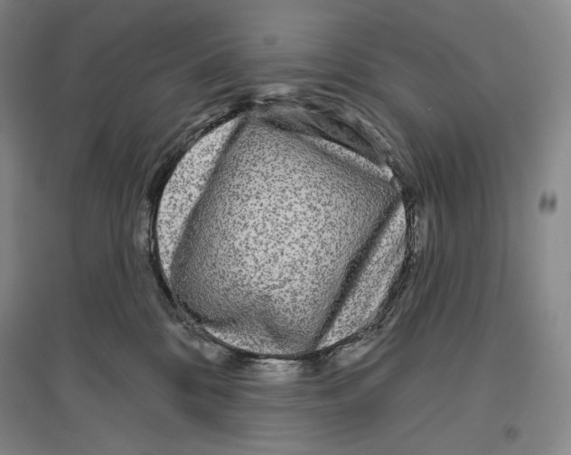 X0000096450328200802211240