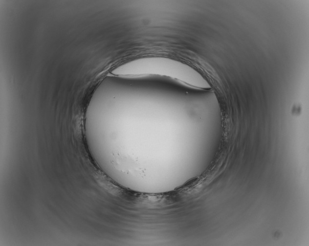 X0000096450329200802211240