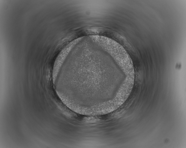 X0000096450331200802211240