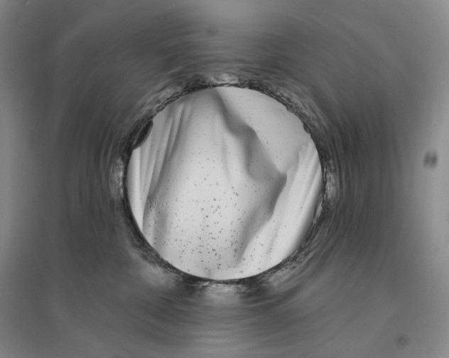 X0000096450332200802211240