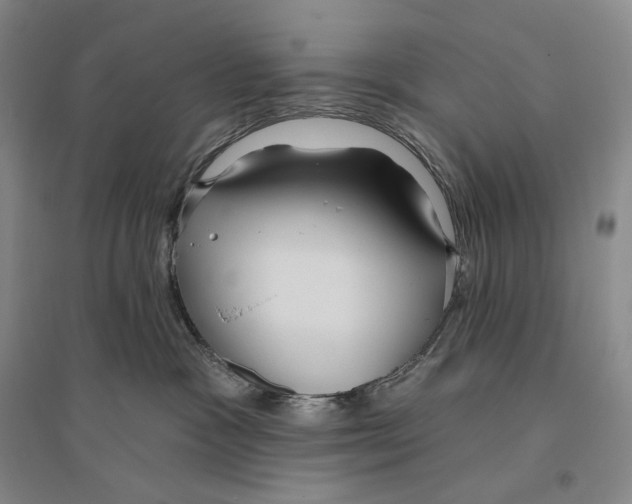 X0000096450333200802211240