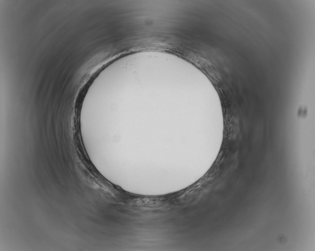 X0000096450338200802211239