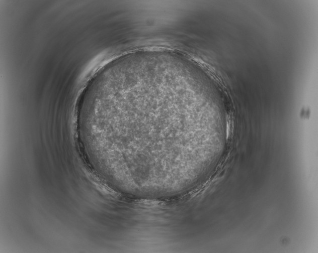 X0000096450339200802211239