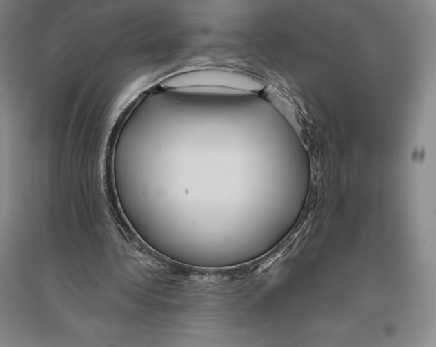 X0000096450340200802211239