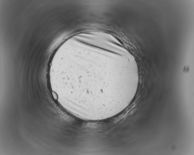 X0000096450341200802211239