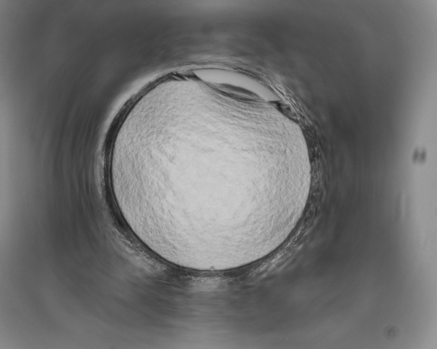 X0000096450342200802211239