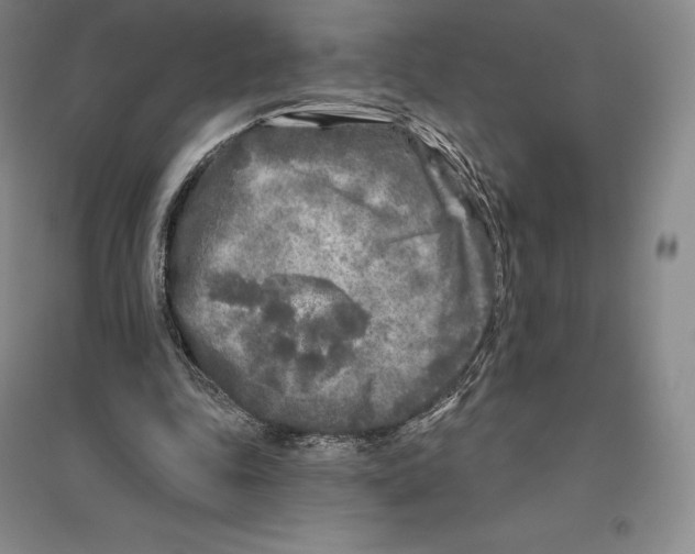 X0000096450343200802211239