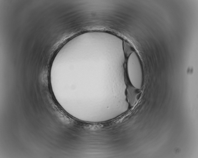 X0000096450345200802211239