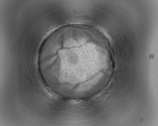 X0000096450346200802211239