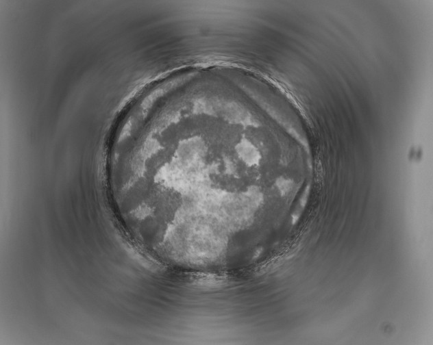 X0000096450347200802211239