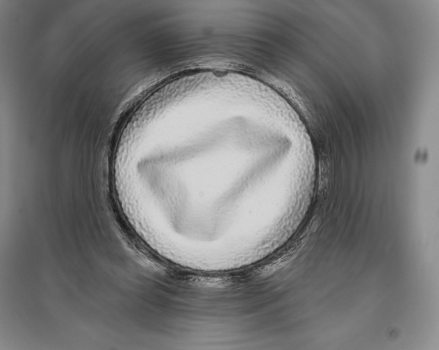 X0000096450349200802211239