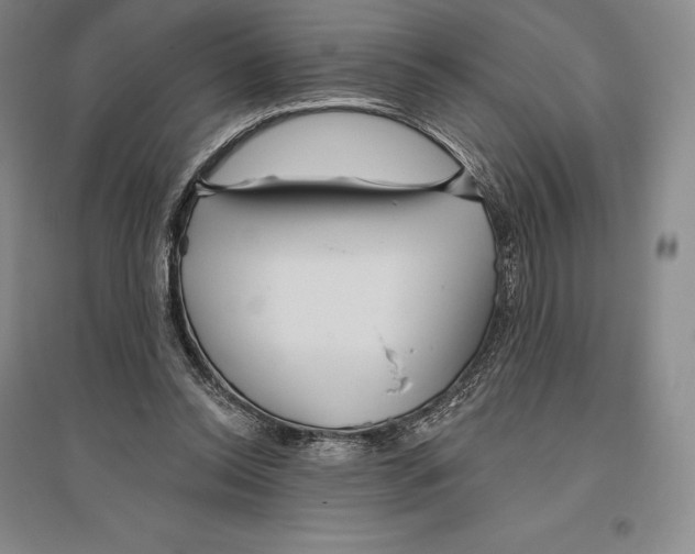 X0000096450350200802211239