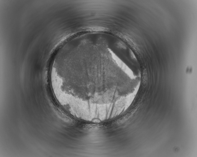 X0000096450351200802211239