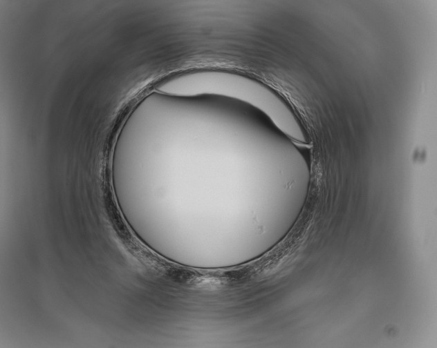 X0000096450352200802211239