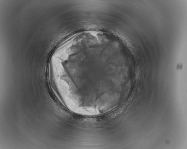 X0000096450353200802211239