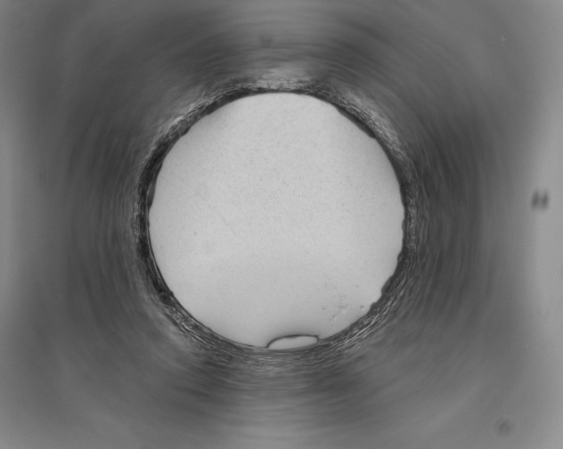 X0000096450354200802211239