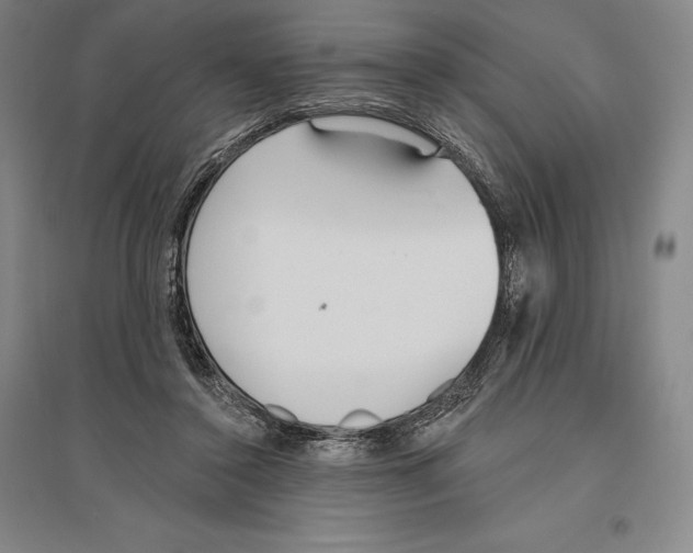 X0000096450356200802211239