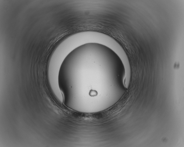 X0000096450360200802211239