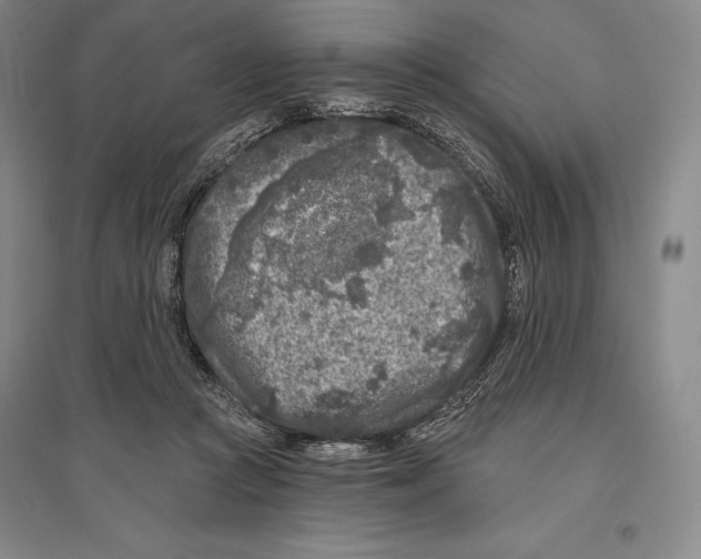 X0000096450361200802211239