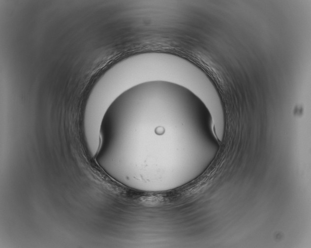 X0000096450362200802211239