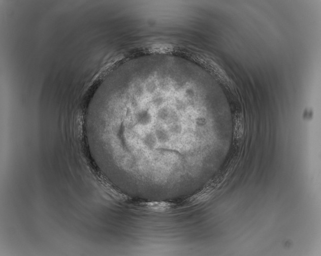 X0000096450363200802211239