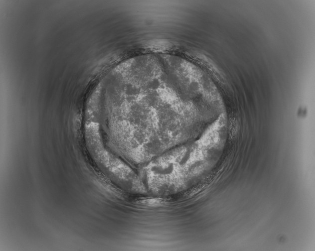 X0000096450365200802211239