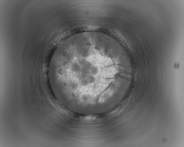 X0000096450366200802211239