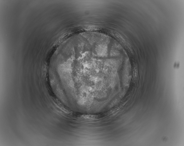 X0000096450367200802211239