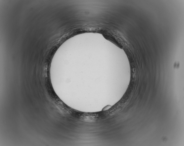 X0000096450368200802211239