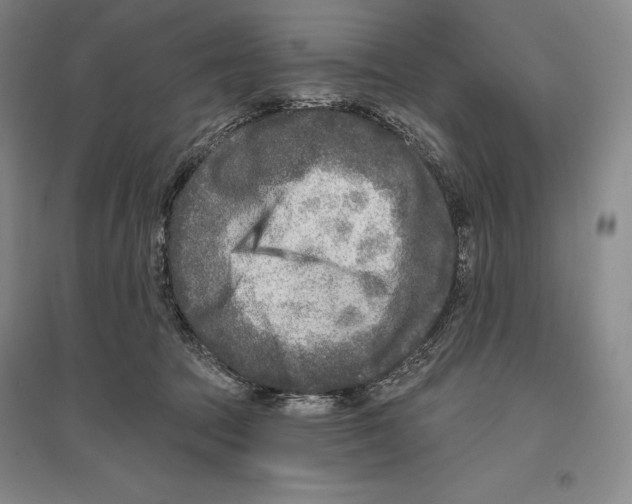 X0000096450369200802211239