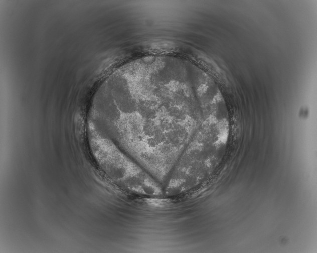 X0000096450371200802211239